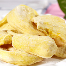 Wholesale FD healthy snack food freeze dried jackfruit